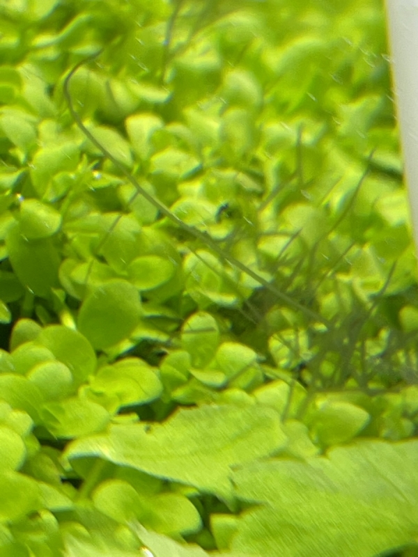 Image1648476361.938960.jpg