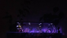Skylight Hyperspot L - sterownik i ustawienia