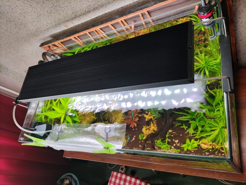 akwarium120L-3.jpg