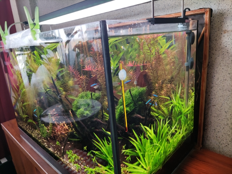 akwarium120L-2.jpg