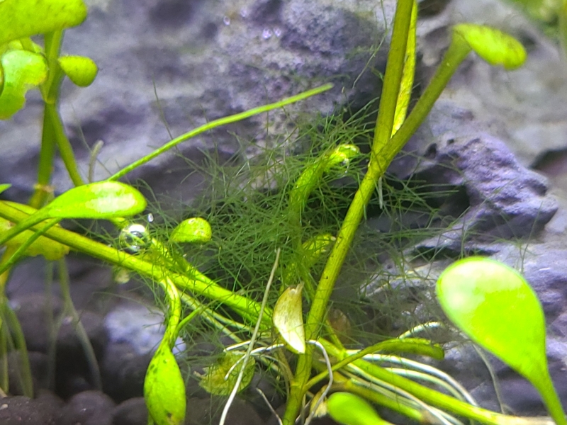 20220415_114414.jpg