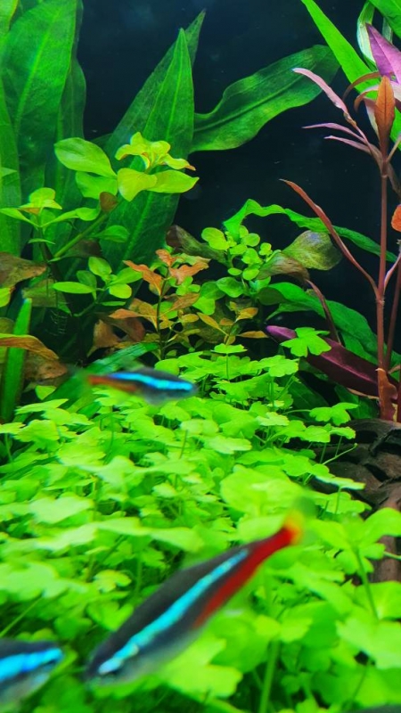20220415_160856.jpg