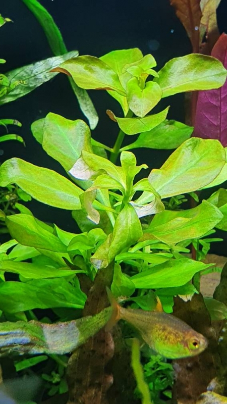 20220420_153330.jpg