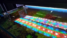 Belka LED 1w WRGB