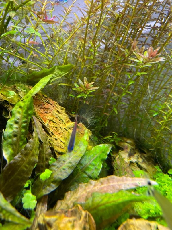 Image1651253346.369112.jpg