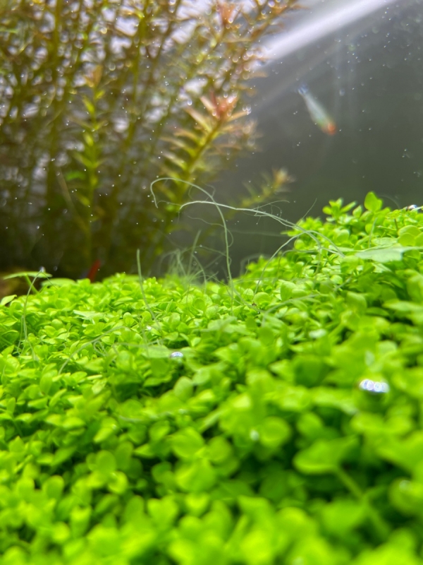 Image1651253359.084770.jpg