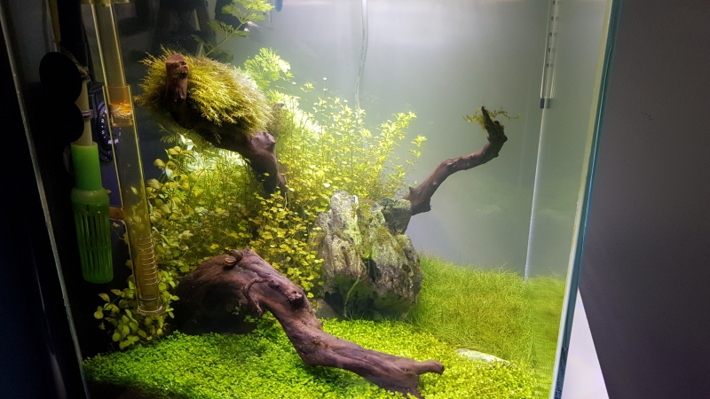 20220430_121224.jpg