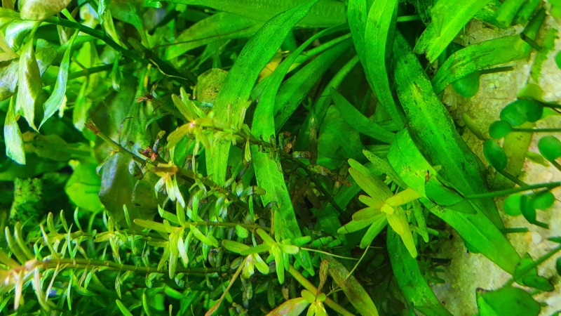 20220512_142350.jpg