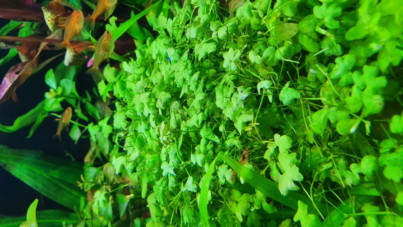 20220512_142343.jpg