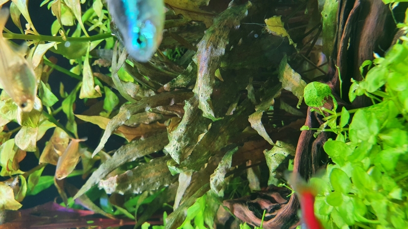 20220512_142341.jpg
