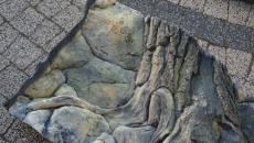 Tło strukturalne do akwarium Amazonka 120x50cm 3D