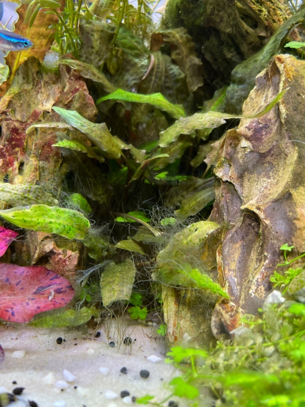 Image1654331420.096655.jpg