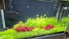 125l - BN/T - dawid112