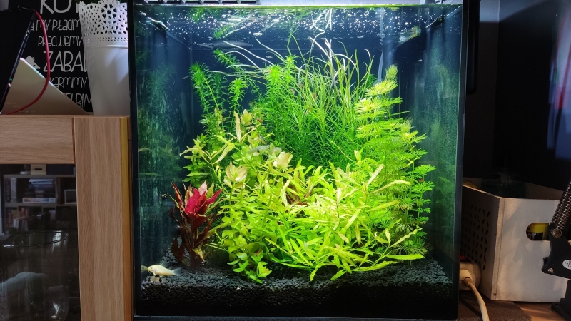 02.02.2022.jpg