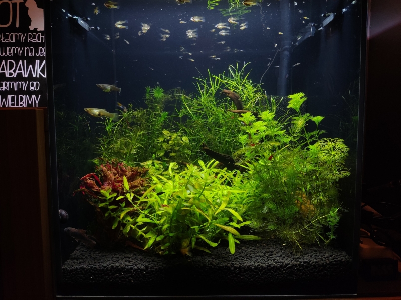 06.03.2022.jpg