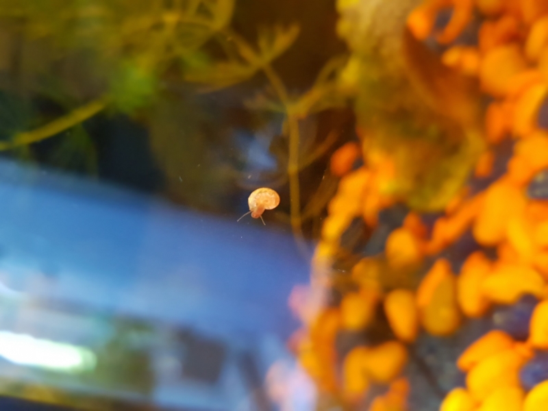 20220626_152313.jpg