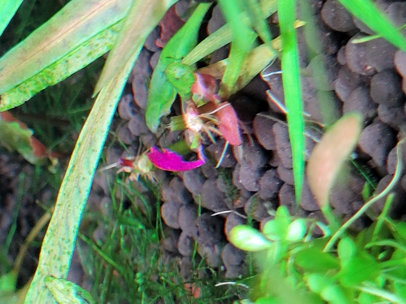 20220626_170427.jpg