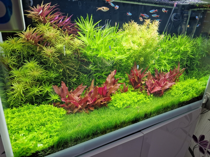 20220628_124919.jpg