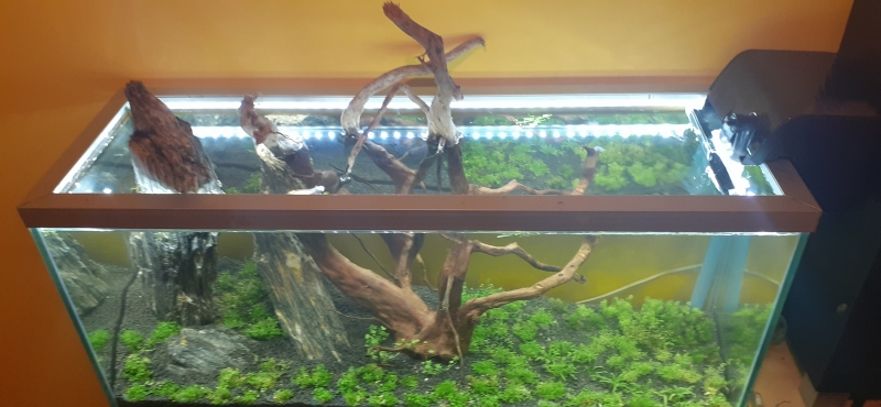 20220704_020615.jpg