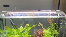 Budowa domu z akwarium 1800l+