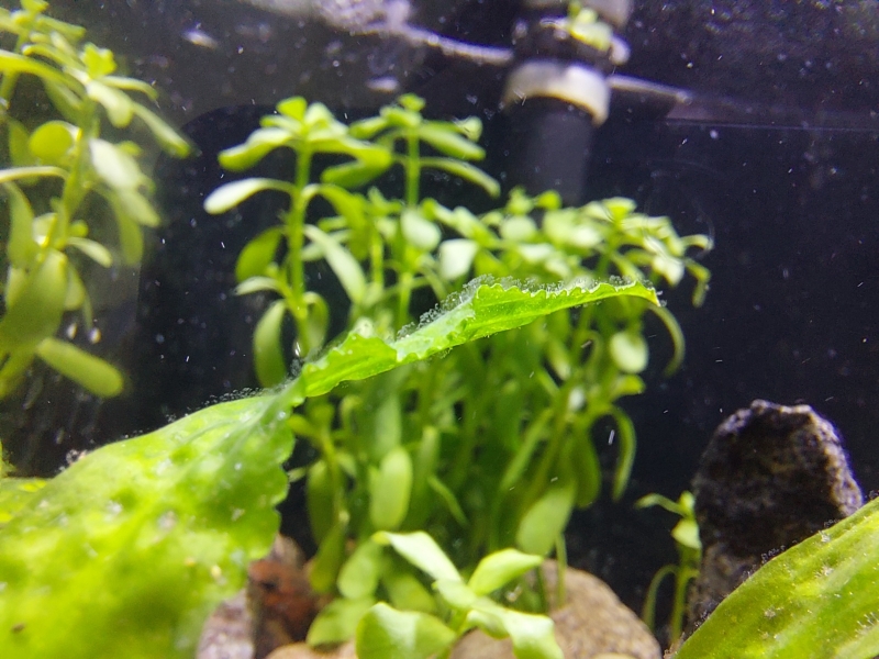 20220728_082525.jpg