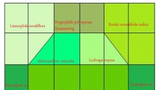 72 litry - aranżacja co Wy na to