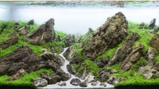 371l - Mountain Stream - Marcin Zając