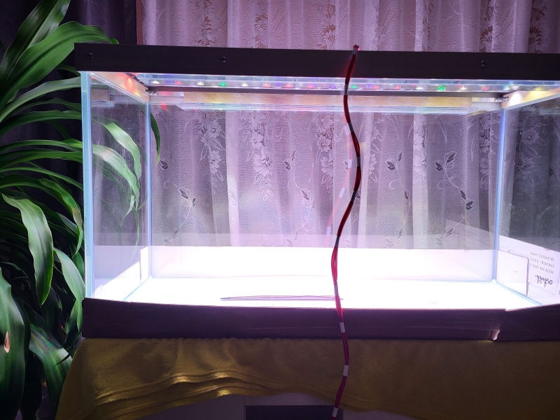 20220802_225516.jpg