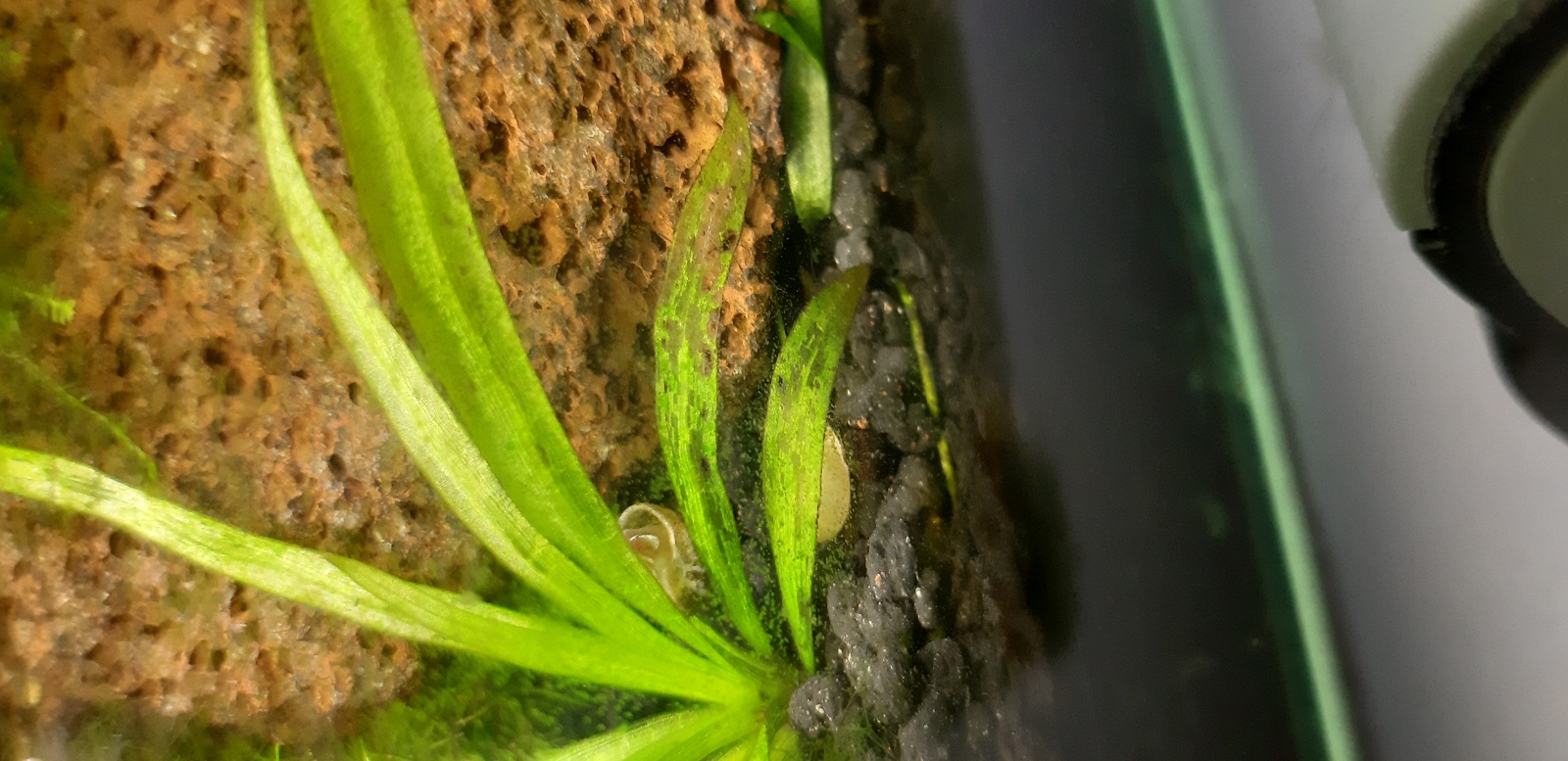 20220812_224825.jpg