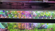 Belki power led do 200 l akwarium