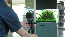 Szkoła fotografowania akwarium