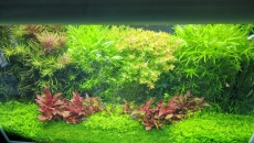 125l - BN/T - dawid112