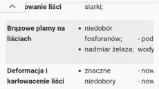Nawozenie akwarium z srednio twardą wodą