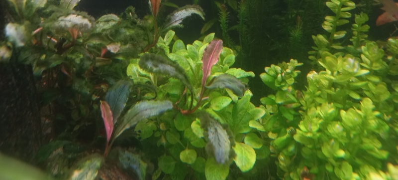 20220829_212059.jpg