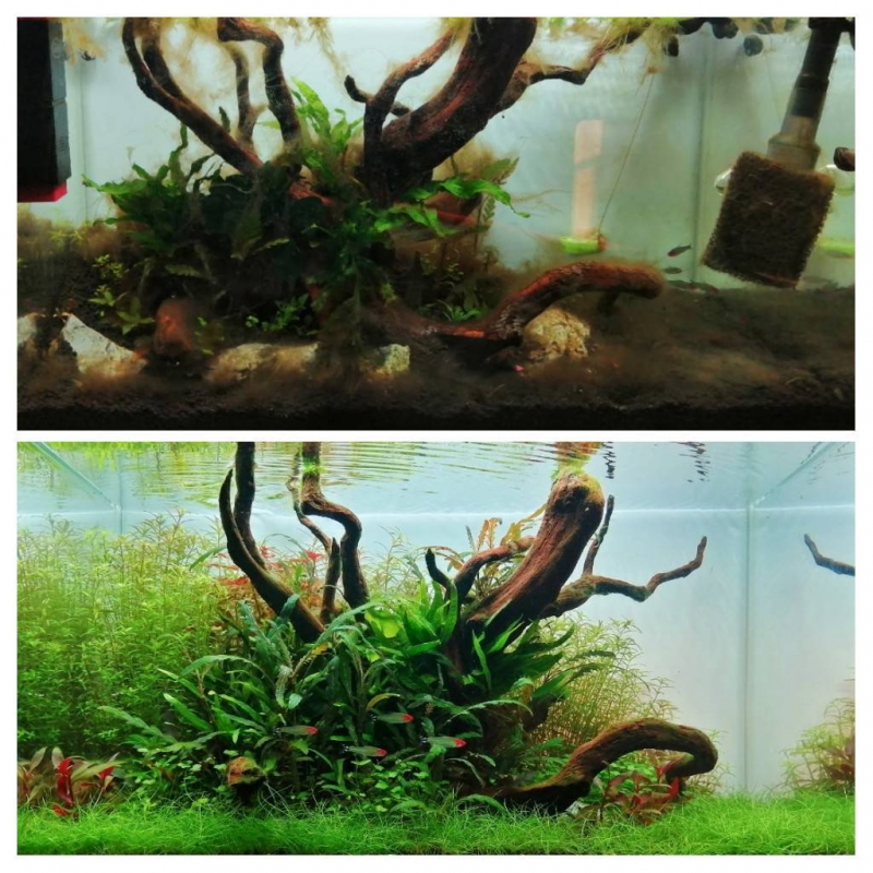 20220902_184330-COLLAGE.jpg