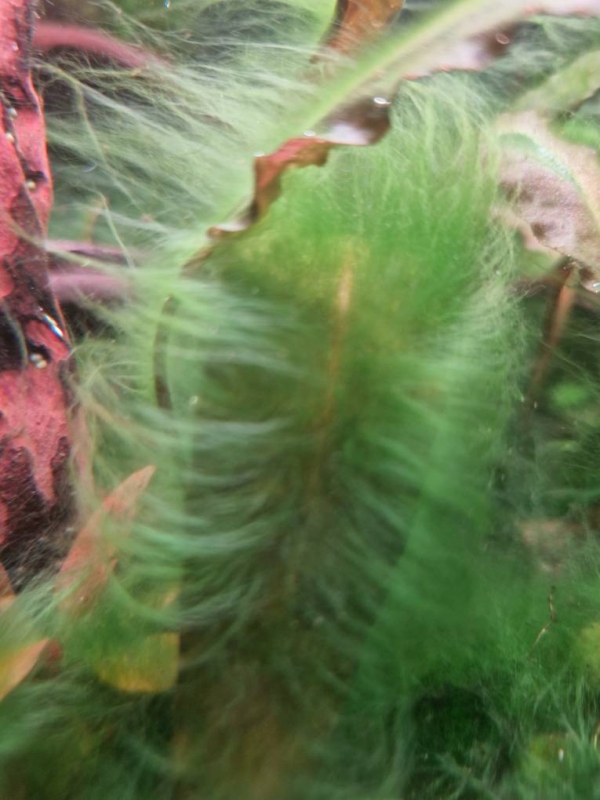 20220906_181135.jpg