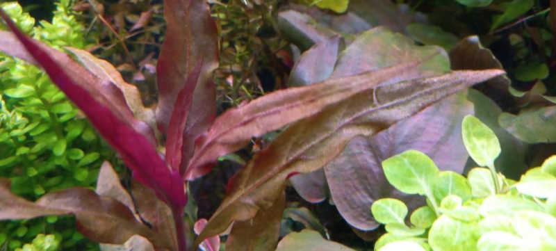 20220910_124227.jpg