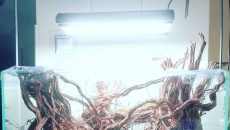 80x45x45 "Sobotni Aquascaping "