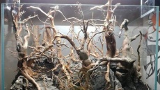 80x45x45 "Sobotni Aquascaping "