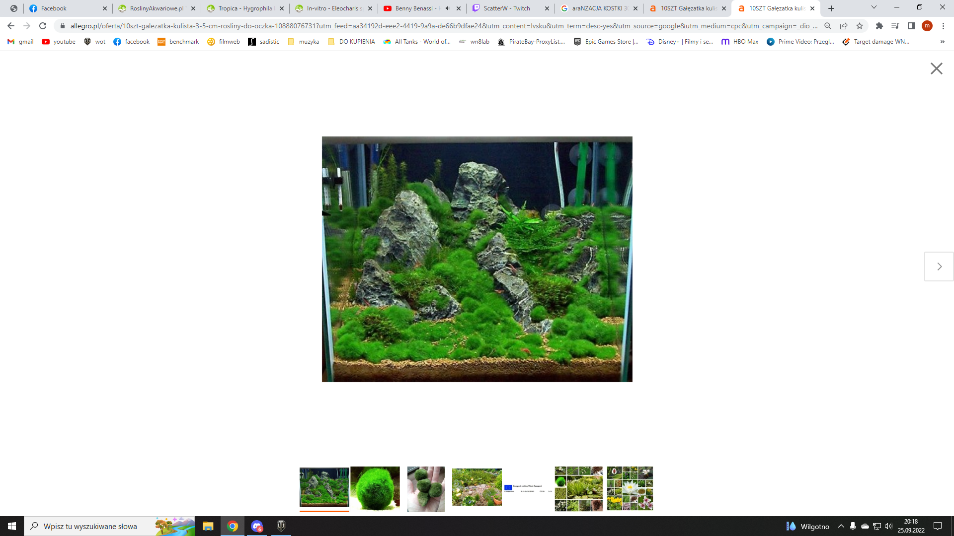 akwarium.png