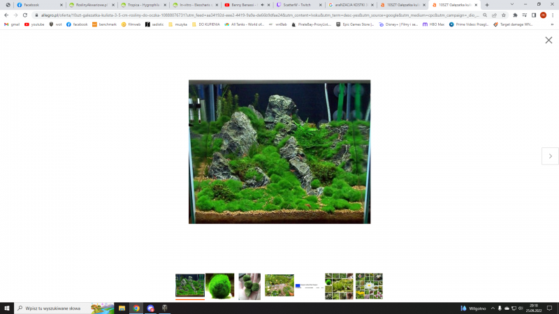 akwarium.png