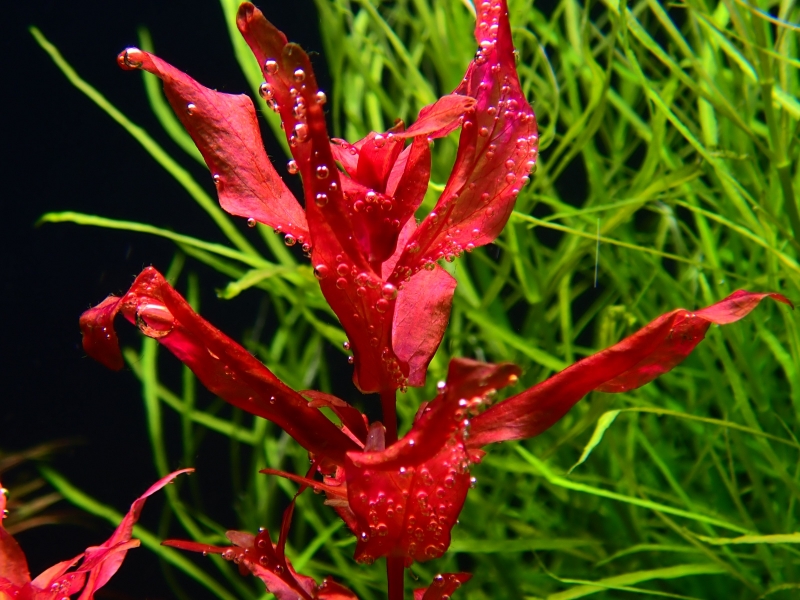 PA041253.JPG