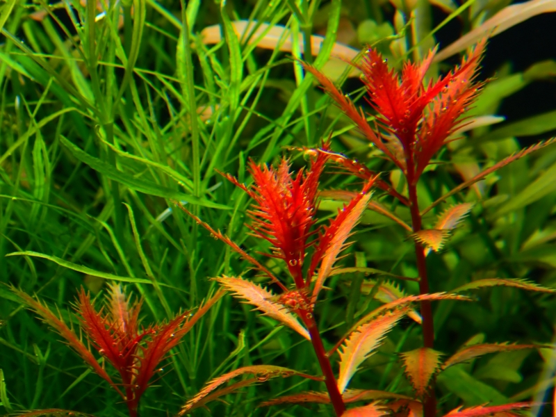 PA041256.JPG