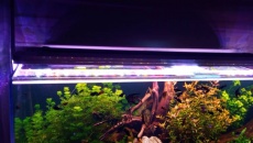 Lampa do 800l