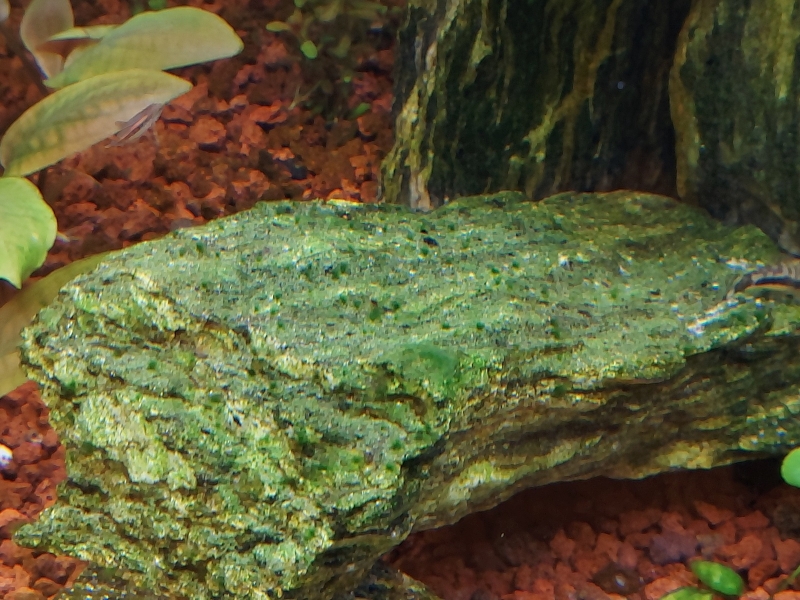 20221028_191951.jpg