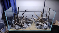 Hardscape do oceny