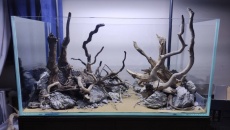 Hardscape do oceny