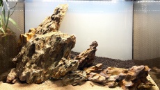 Hardscape a szyba