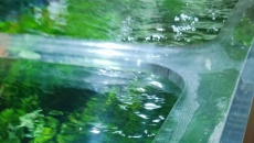 Skimmer do nietypowego akwarium