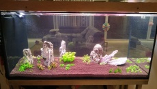 Lampa DIY do 500l